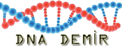 istanbulcelikkapi.com.tr